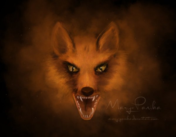 Лиса кульпео Фокс