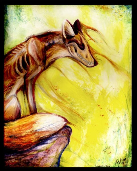 Лис арт caicyo