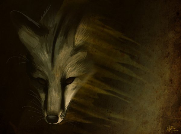 Чёрно белый демон