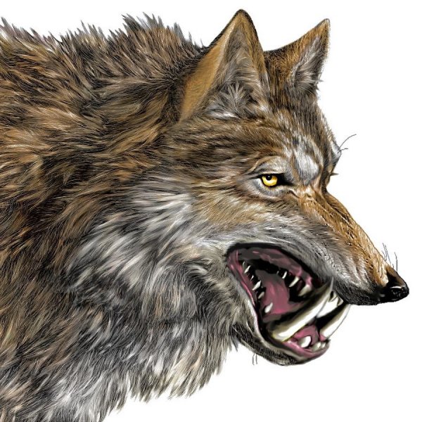 Демонический оборотень