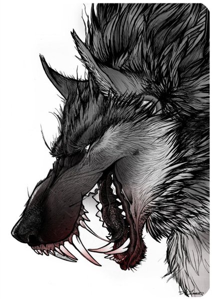 Волк демон оскал профиль