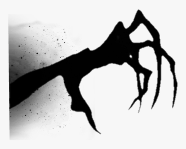 Лапы птиц референс