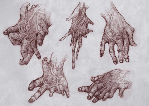 Лапы дракона референс