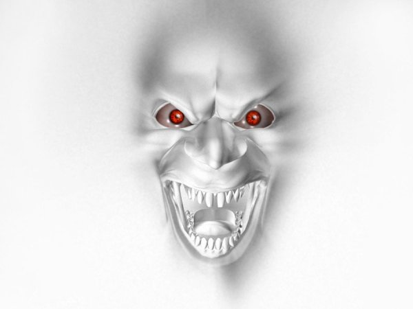 Чеширский кот Американ МАКГИ