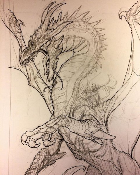 Дракон скетч