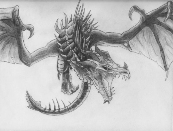 Дракон простым карандашом