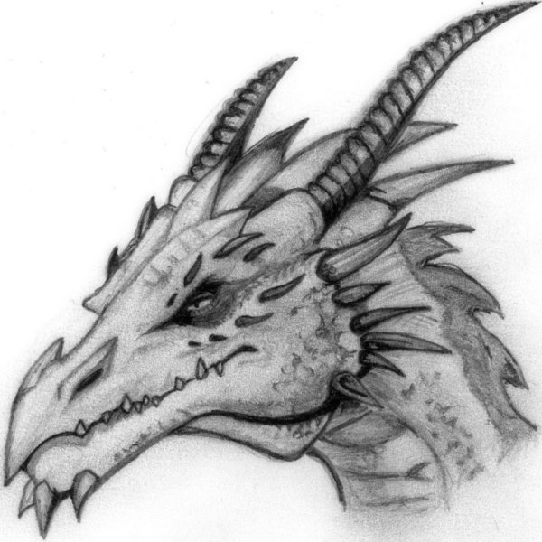 Голова дракона сбоку