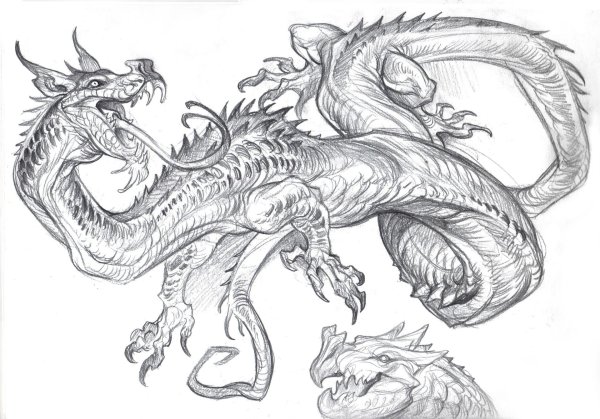 Набросок дикого дракона