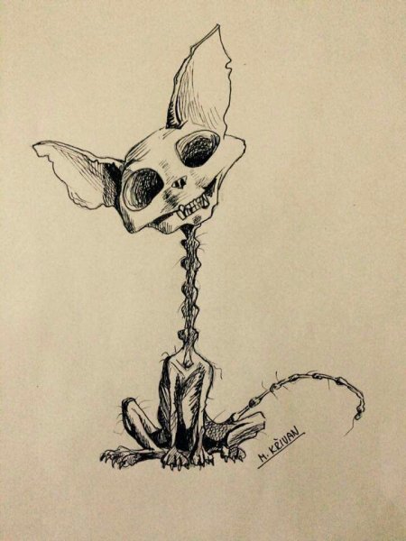 Скелет скетч череп