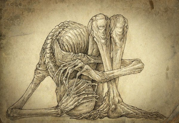 Рисунки черепов карандашом