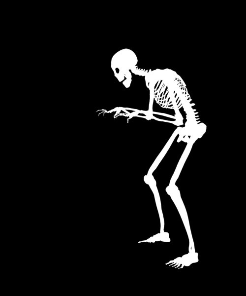 Скелет с гитарой