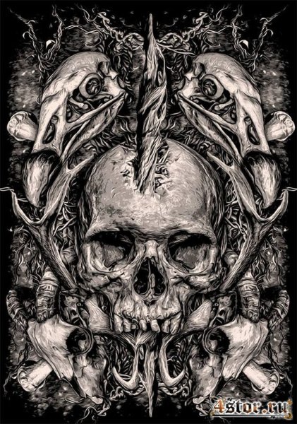 Скелет ругопса