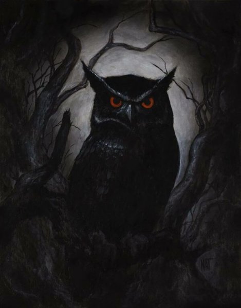 Тёмные Совы