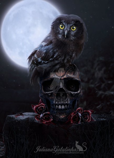Санта Муэрте с совой