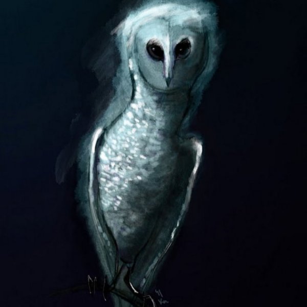 Сова сипуха страшная