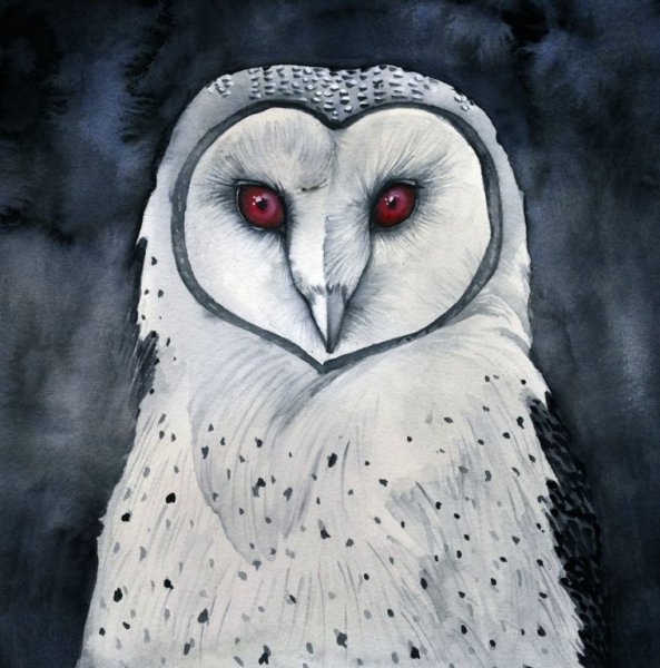 Совы арт крутые