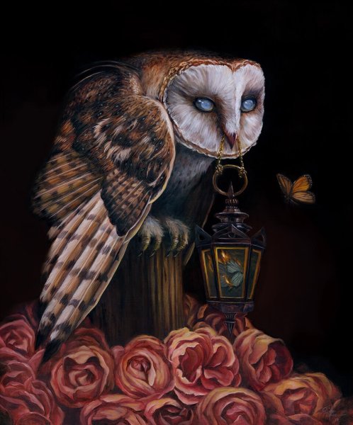 Ушастая Сова арт