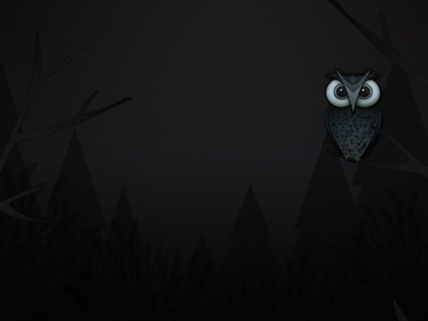 Совы обои на рабочий стол 1280х1024