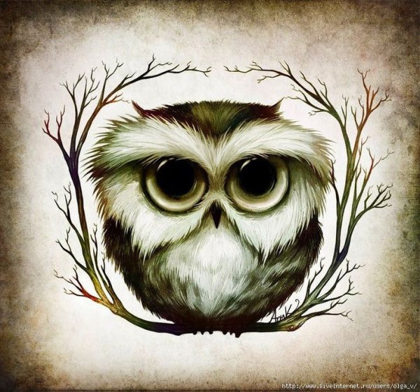 Сова иллюстрация