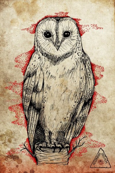 Простые арты Совы