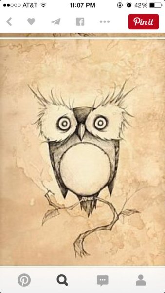 Сова арт карандашом