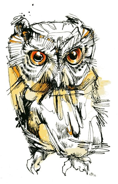 Сова скетч акварелью