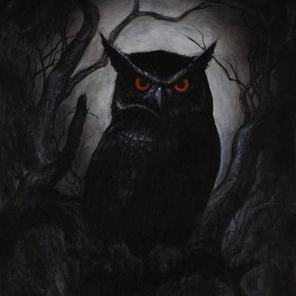 Мрачная Сова