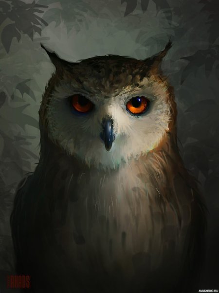Сова арты
