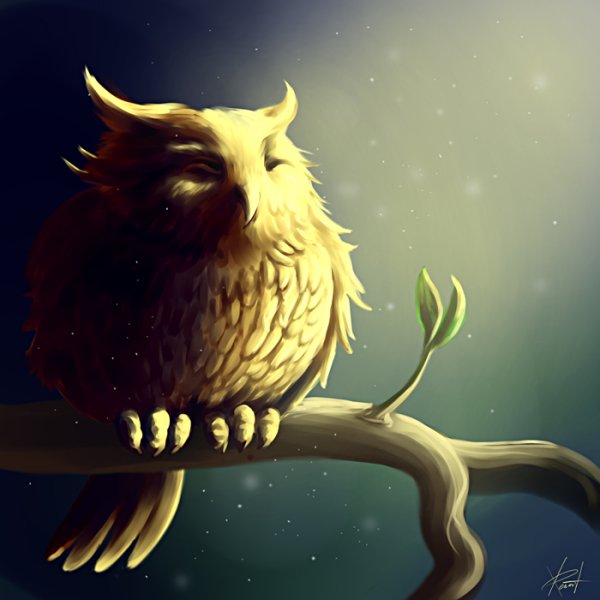 Сова сидит арт