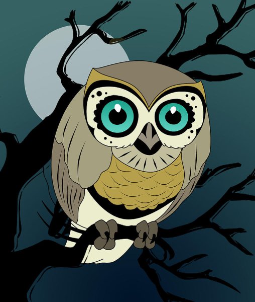 Стильная Сова