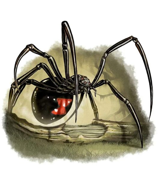 Паучки арты