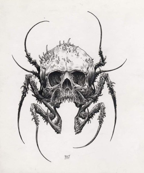 Паук череп тату