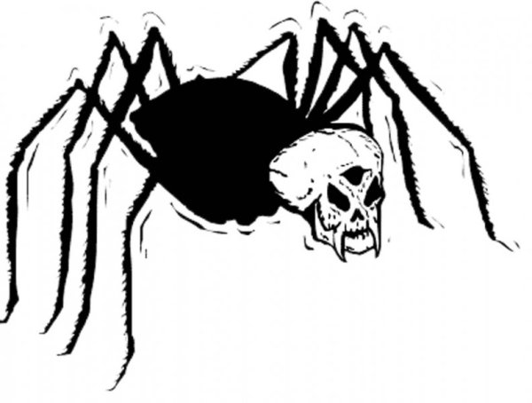Паук страшный вектор