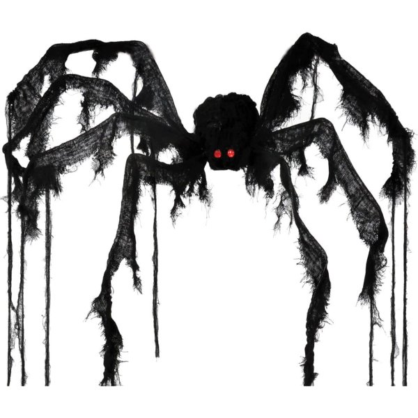 Пауки Эстетика