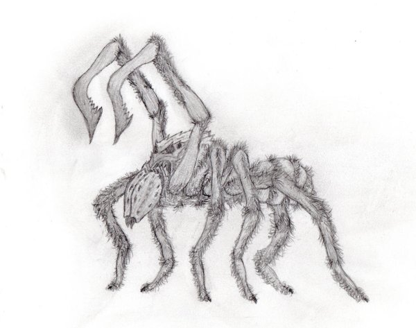 Туториалы пауков