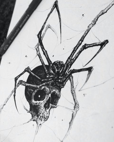 Паук эскиз