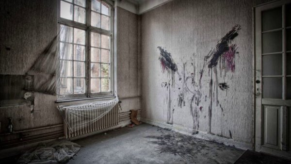 Бельгия психиатрическая больница