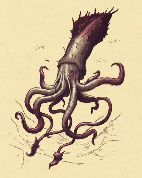 Спрут кальмар Кракен