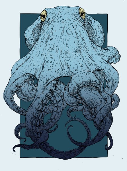 Анатомия Кракена