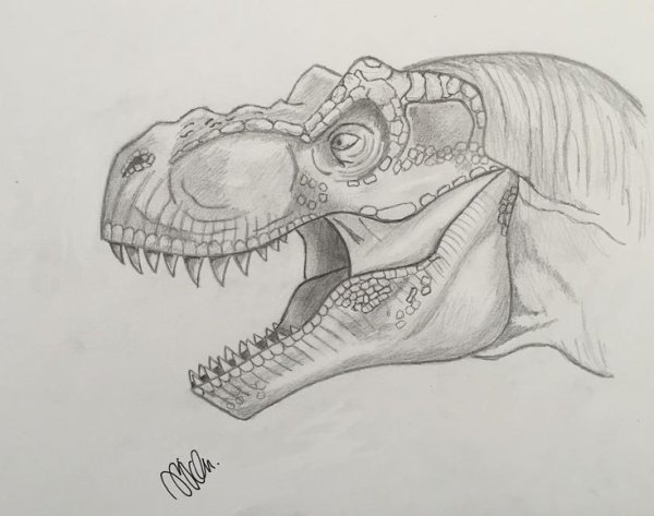 Динозавры эскизы карандашом