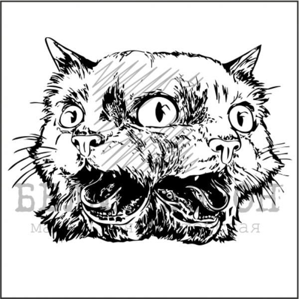 Трехглазый кот