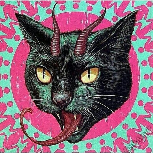 Череп кошки для рисования