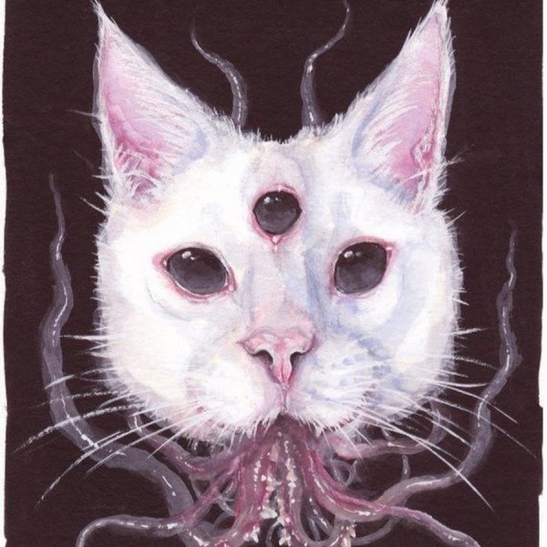 Многоглазый кот