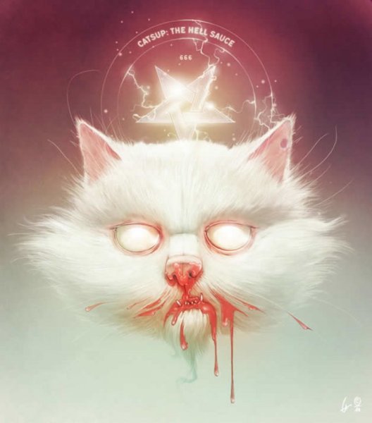 Взъерошенная черная кошка