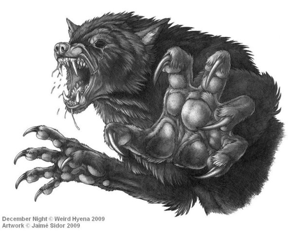 Ван Хельсинг оборотень аниме