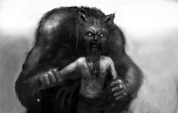 Раса Волколак