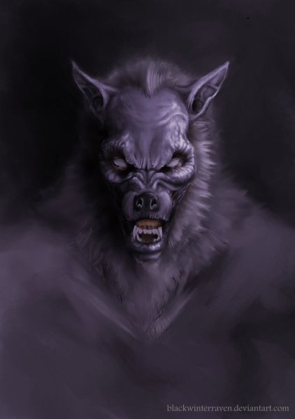 Оборотни против вампиров