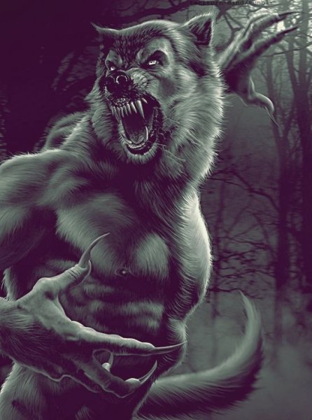 Оборотень рисунок