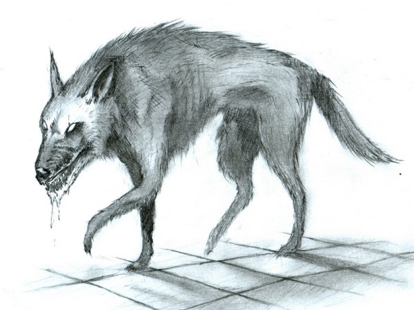 Злобные рисунки