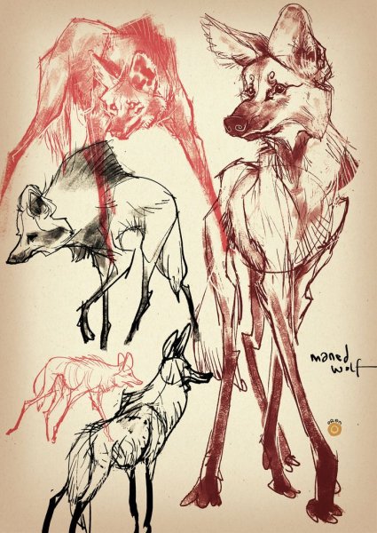 Инопланетные волки собаки